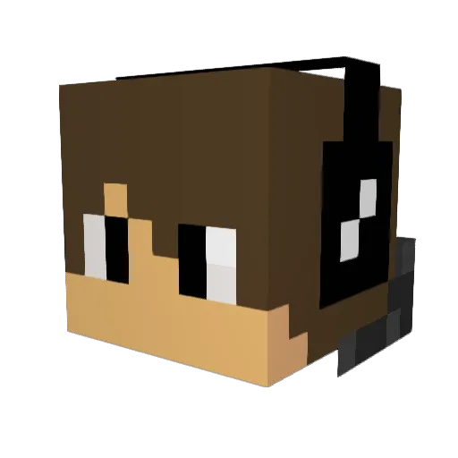 _djexx_ Minecraft avatar head, 3D render