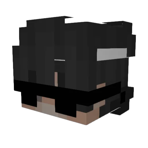 _domain Minecraft avatar head, 3D render