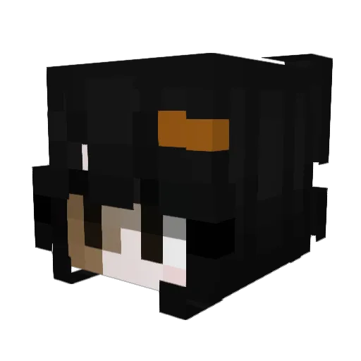 _donia Minecraft avatar head, 3D render