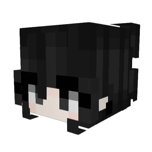 _donny__ Minecraft avatar head, 3D render