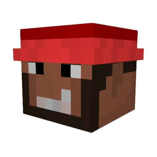 _dorotka123 Minecraft avatar head, 3D render