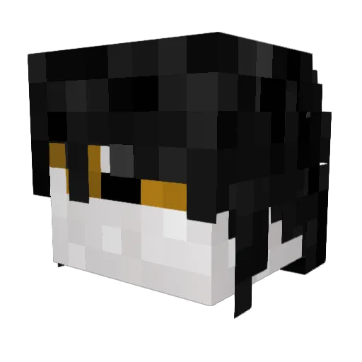_dotm Minecraft avatar head, 3D render