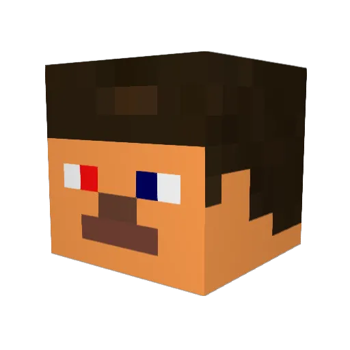 _dropp_ Minecraft avatar head, 3D render