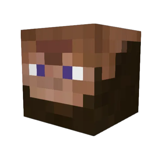 _dsb Minecraft avatar head, 3D render