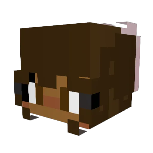 _dumbcow Minecraft avatar head, 3D render