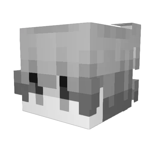 _dunck Minecraft avatar head, 3D render