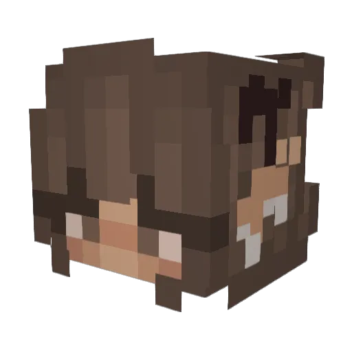 _e16 Minecraft avatar head, 3D render