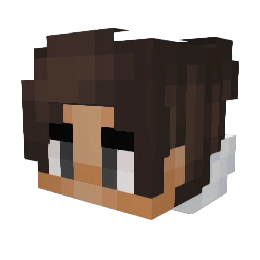 _e1ite Minecraft avatar head, 3D render