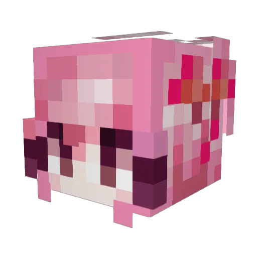 _ec505 Minecraft avatar head, 3D render