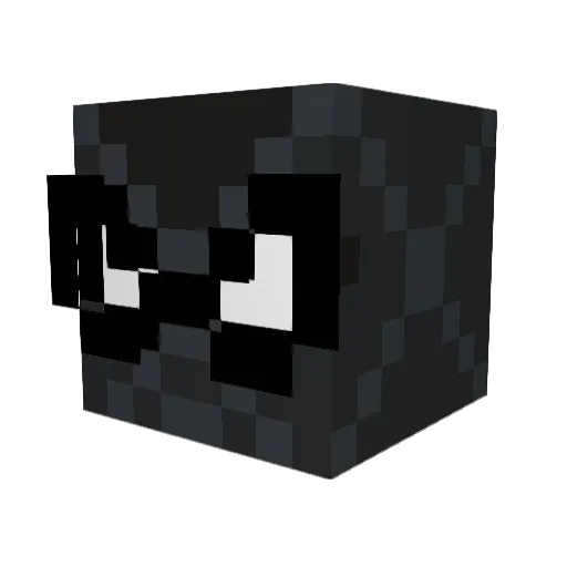 _einfachNoah Minecraft avatar head, 3D render