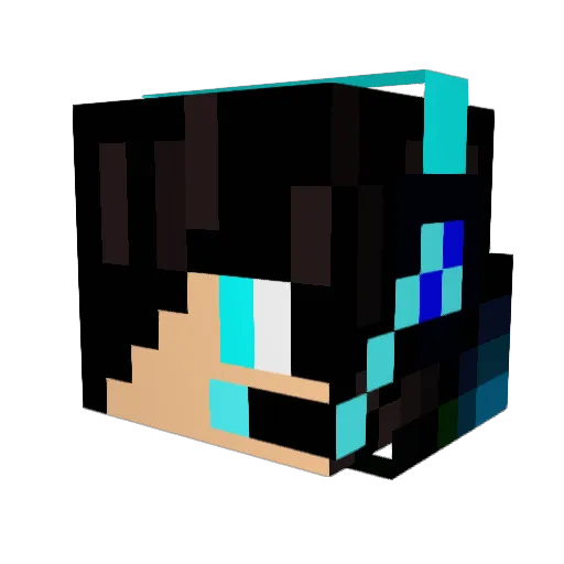 _einfachnic Minecraft avatar head, 3D render