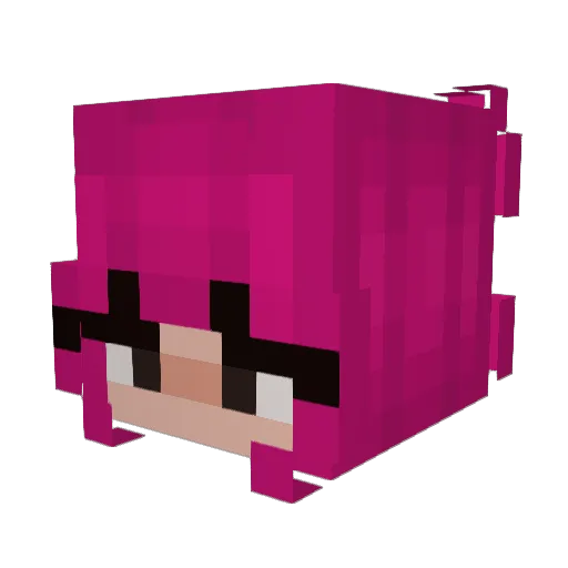 _eliminacja1337 Minecraft avatar head, 3D render