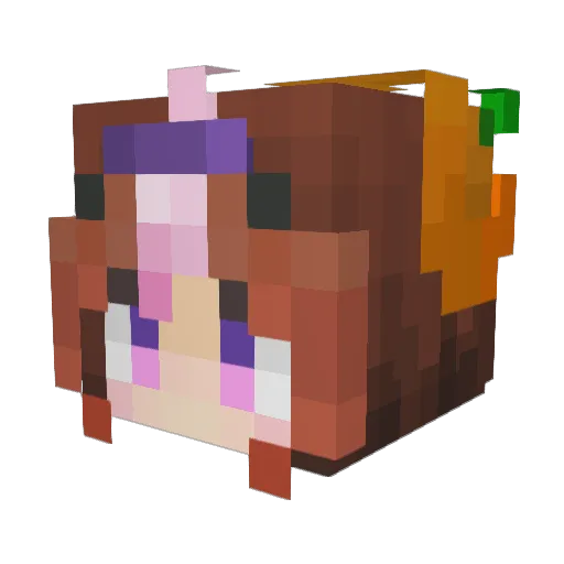 _elwine Minecraft avatar head, 3D render