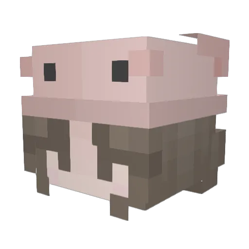 _elysiann_ Minecraft avatar head, 3D render