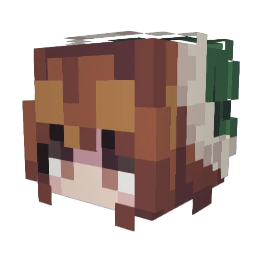 _emilyc Minecraft avatar head, 3D render