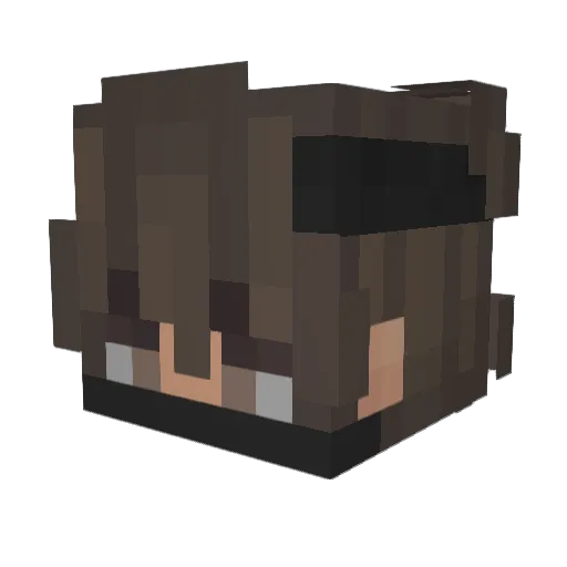_enderjan_ Minecraft avatar head, 3D render