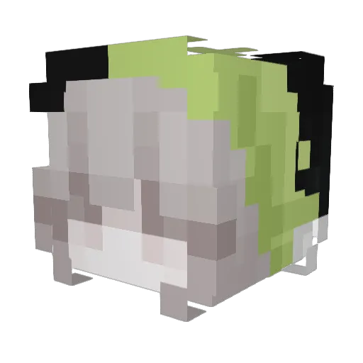 _enthused Minecraft avatar head, 3D render