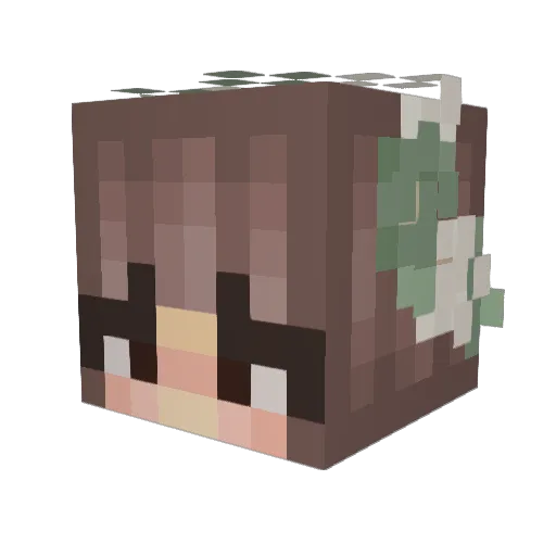 _erxs Minecraft avatar head, 3D render