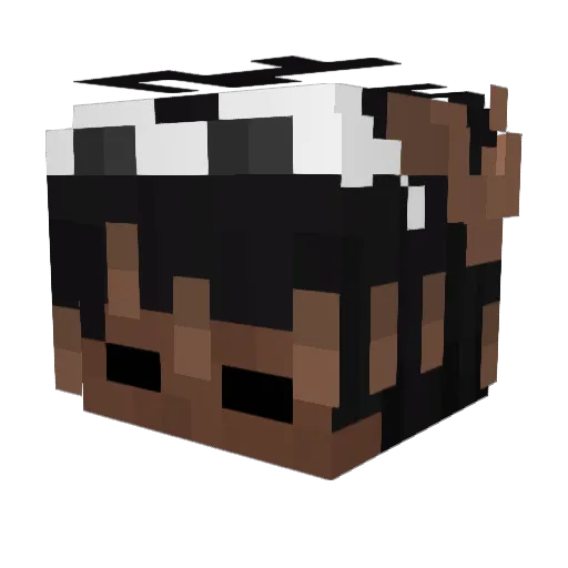 _ethy_ Minecraft avatar head, 3D render