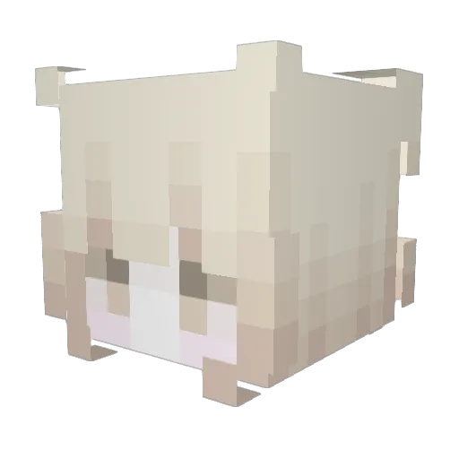 _eunso Minecraft avatar head, 3D render