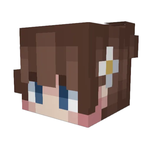 _f4n1 Minecraft avatar head, 3D render