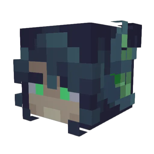_farpo Minecraft avatar head, 3D render
