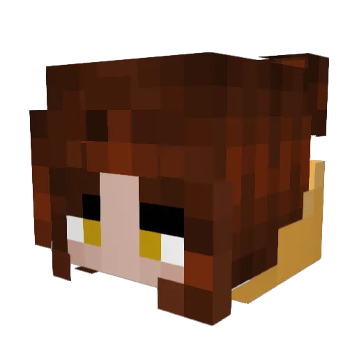 _fei_fei Minecraft avatar head, 3D render