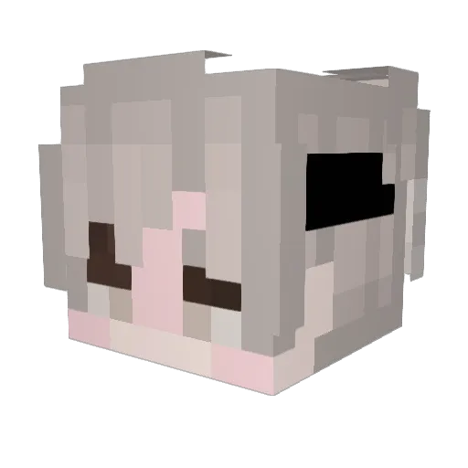 _felpzzz Minecraft avatar head, 3D render