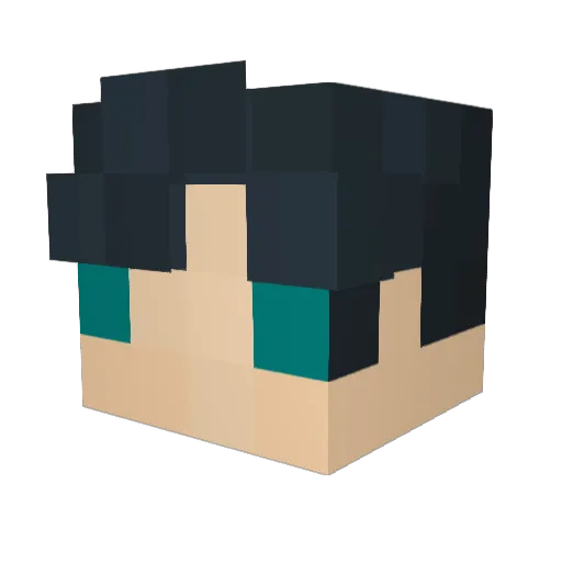 _fhfsjg Minecraft avatar head, 3D render