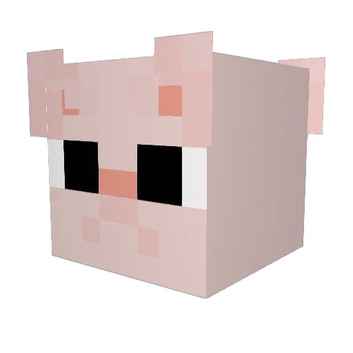 _fish_daddy_ Minecraft avatar head, 3D render