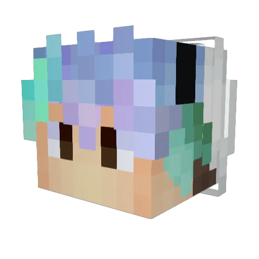 _flisu Minecraft avatar head, 3D render
