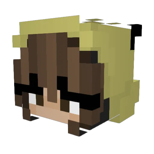 _flombee Minecraft avatar head, 3D render