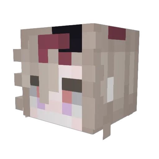 _flyinn Minecraft avatar head, 3D render