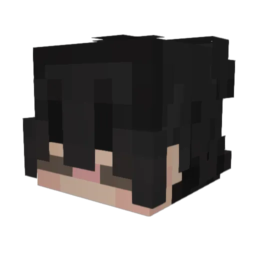 _fnt_ Minecraft avatar head, 3D render