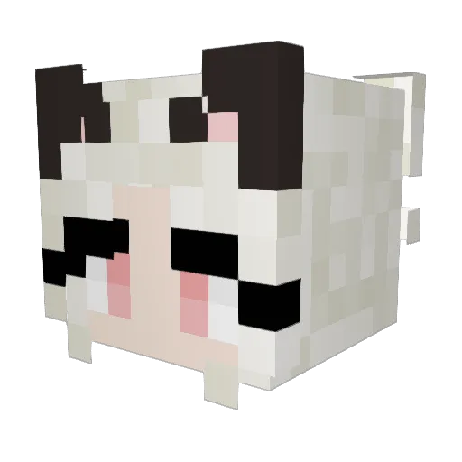 _fonley_ Minecraft avatar head, 3D render