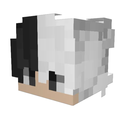 _fooly Minecraft avatar head, 3D render
