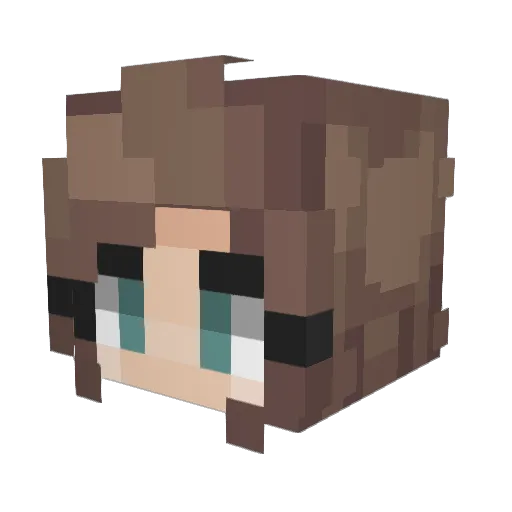 _fr0g_frog_ Minecraft avatar head, 3D render
