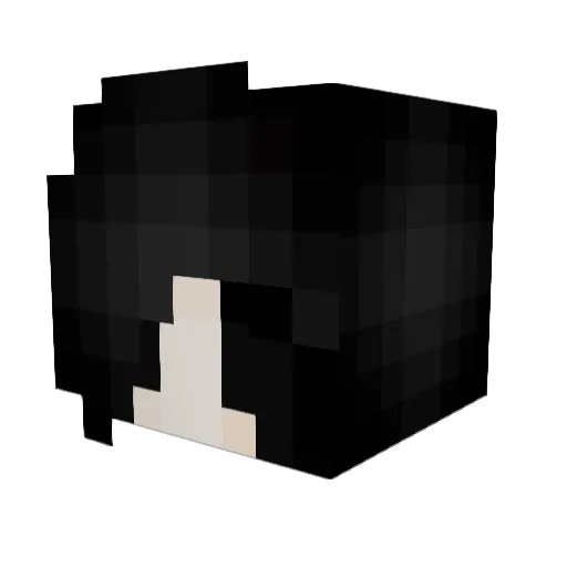 _fsty1e Minecraft avatar head, 3D render