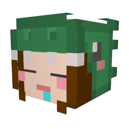 _funkybuckets Minecraft avatar head, 3D render