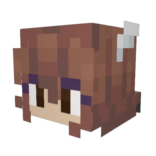 _funqu Minecraft avatar head, 3D render