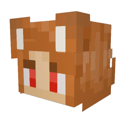 _furies Minecraft avatar head, 3D render