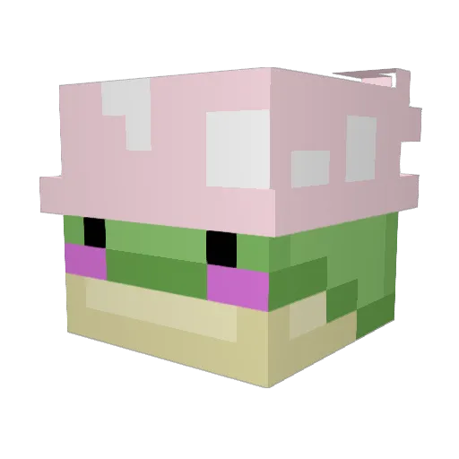 _fwog__ Minecraft avatar head, 3D render