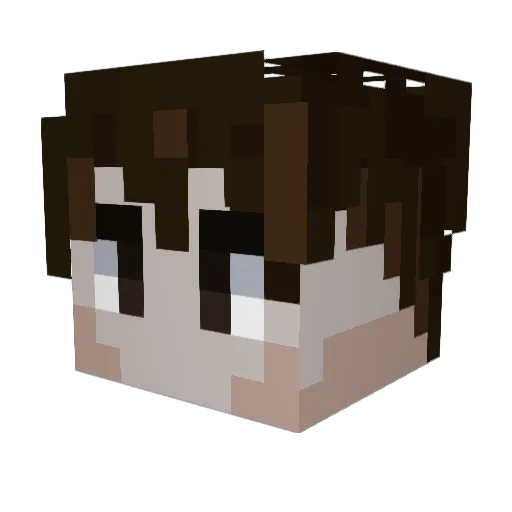 _fydo_ Minecraft avatar head, 3D render