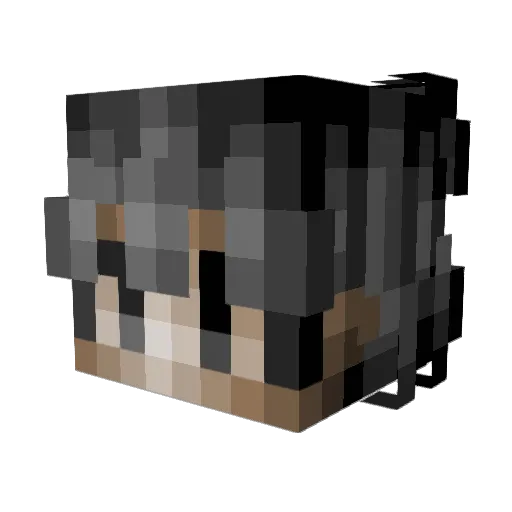 _gbanga Minecraft avatar head, 3D render