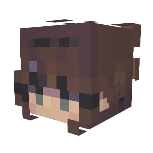 _go2bedjaxon Minecraft avatar head, 3D render