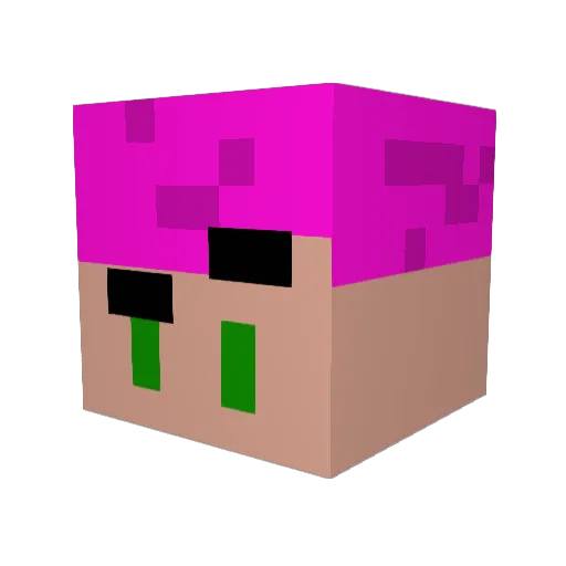 _hachus_ Minecraft avatar head, 3D render