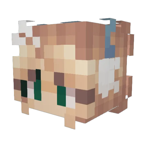 _hazelrose_ Minecraft avatar head, 3D render