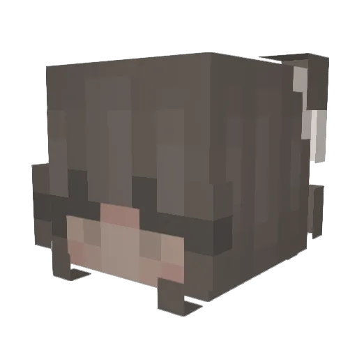 _hellomello Minecraft avatar head, 3D render