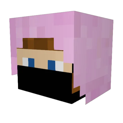 _hence Minecraft avatar head, 3D render