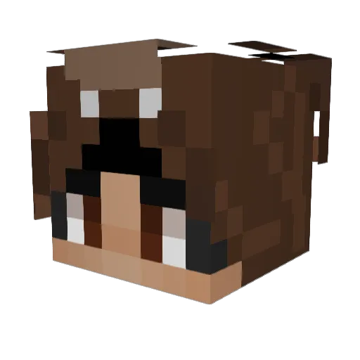 _heroes Minecraft avatar head, 3D render